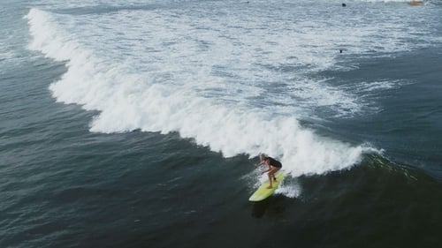 Surfer Woman Riding on the Blue Waves