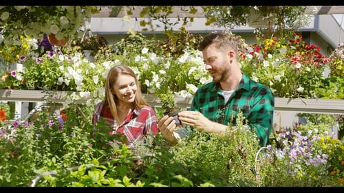 Young Adults Work Among Thriving Plants in Greenhouse