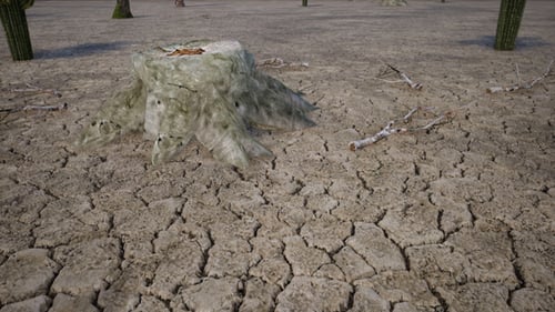 Dry Cracked Earth with Tree Stump in Desert Landscape