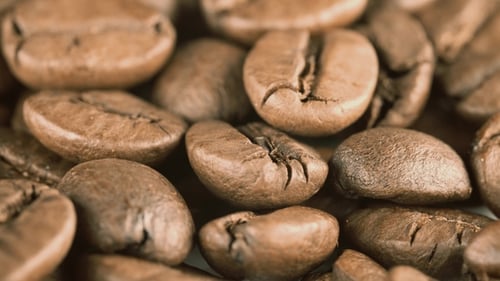 Coffee Beans Piled in a Close Up Shot