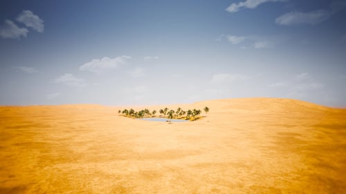 Oasis