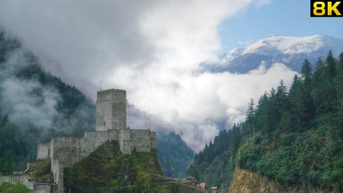 Historic Castle in the Forest
