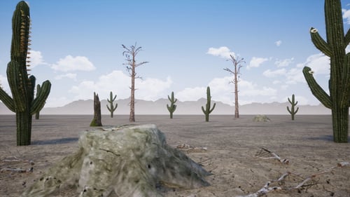 The Desert Dry