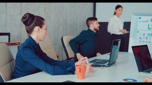Business Team Meeting in Modern Office