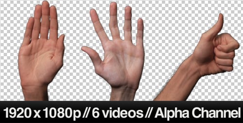 Hand Gesturing on White Background with Alpha Channel