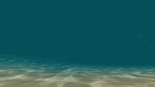 Unterwasserwelt mit Fischen