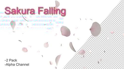 Beautiful Falling Cherry Blossom Petals Background Animation