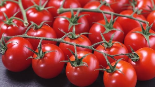 Vibrant Cherry Tomatoes on the Vine, Close-Up