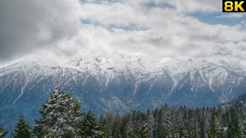 Deep Valley Covered With Pine Forest and Snowy Mountains