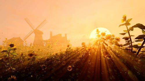 Sunrise Over Sunflower Field with Windmill