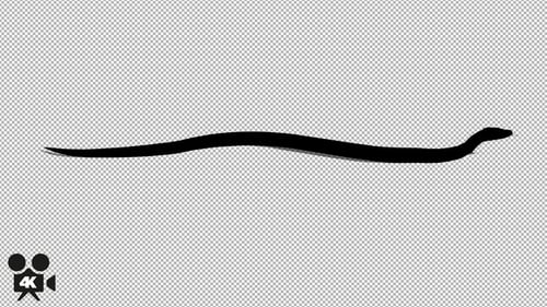 Wiggling Snake Flat Design Silhouette Looping Animation