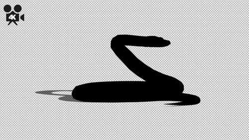 Silhouette serpent 4K