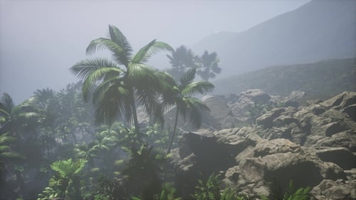 Misty Tropical Landscape with Palm Trees and Mountains