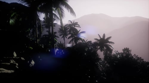 Slow Motion Tropical Jungle Panorama with Hazy Mountains