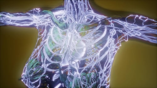 Human Body with Glow Blood Vessels
