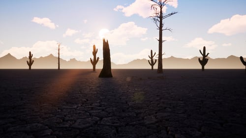 Sunrise in the Desert