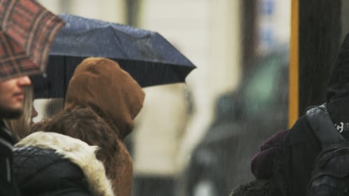 People with Umbrellas Standing in the Rain