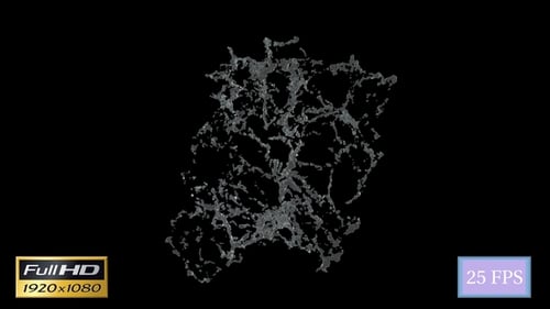 Water Splash Center C