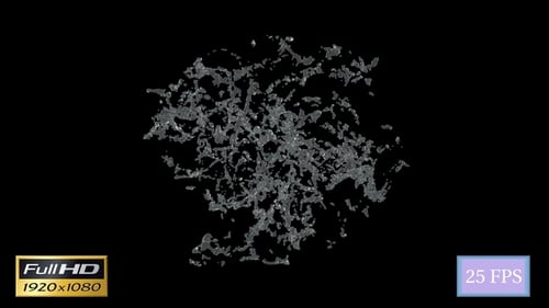 Water Splash Center D