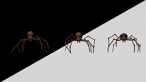 Spider Walk