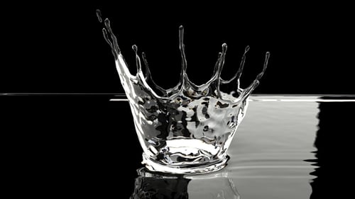 Splash of Transparent Water on a Black