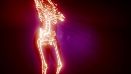 Human Bones Radiographic Scan