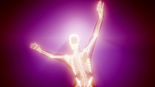 Glowing Human Skeleton 3D Animation for Medical and Science Projects