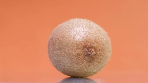 Circular Motion Kiwi in auf gelbem Hintergrund