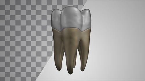 Rotating Molar