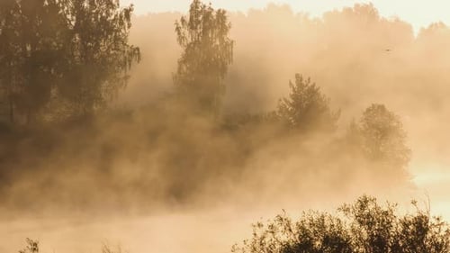 Morgennebel auf dem See, Sunrise Shot
