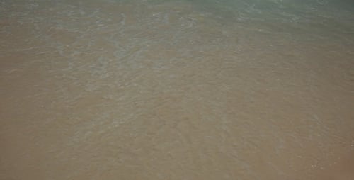 Waves Gently Washing Ashore a Sandy Beach