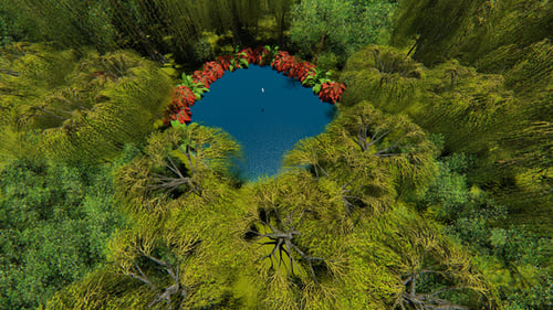 Fly Over The Forest