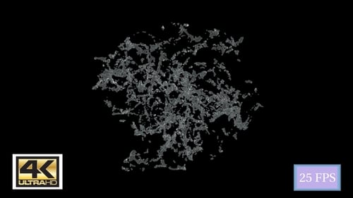 Water Splash Center D 4K