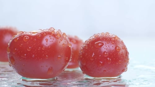 Fresh, Wet, Red Tomatoes Close Up