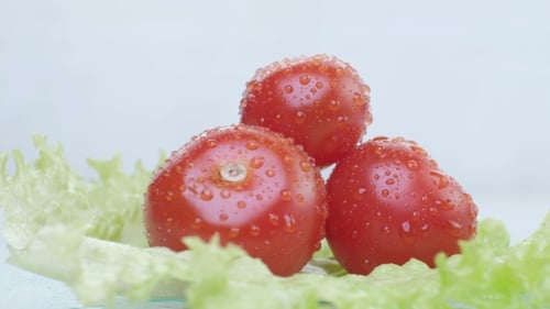 Tomato Vegetable and Lettuce Salad Isolated on White Background