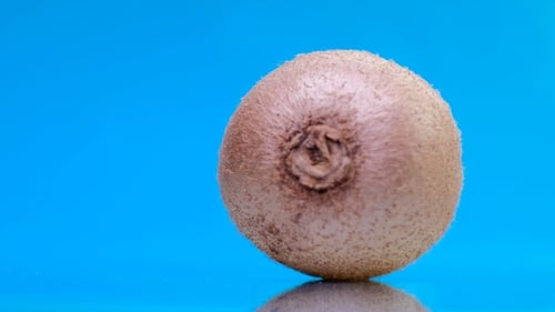 Close Up of Kiwi Fruit on Blue Background