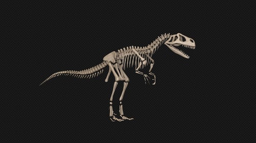 Dinosaur Skeleton