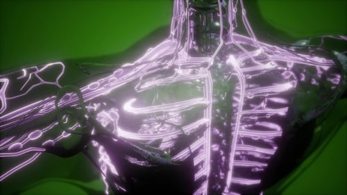Human Body with Glow Blood Vessels