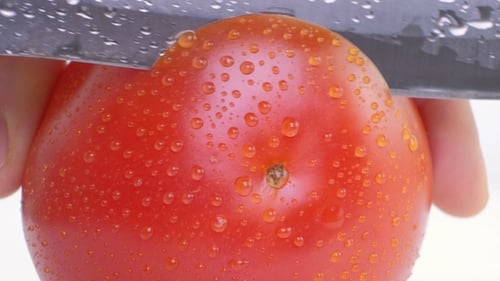Cutting a Tomato with a Knife