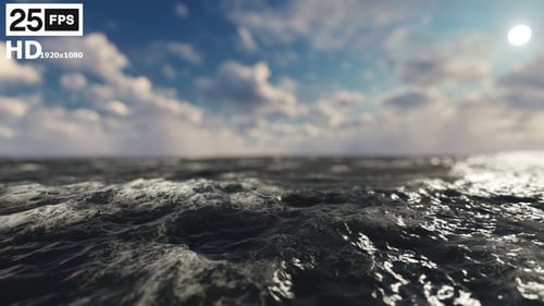 Flying Through Sea 02 HD