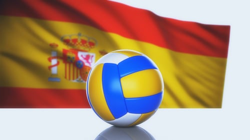 Volleyball Ball with Berserker Flag