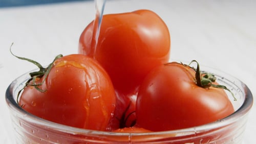 of Washing Tomatoes in Bowl