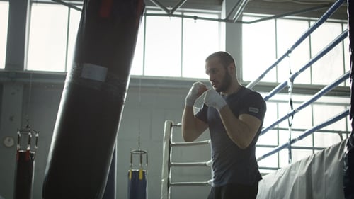 Boxer Training with Bag in Gym