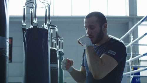 Boxer Training with Bag in Gym