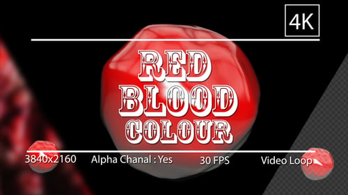 Abstract Fluid Red Sphere Morphing Animation