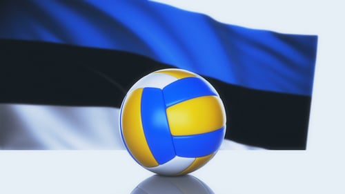 Volleyball Ball with Estonia Flag