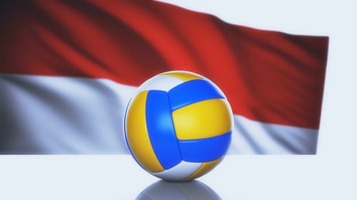 3D Realistic Volleyball And National Flag Animation