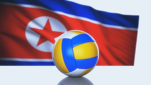 Volleyball Ball with North Korea Flag
