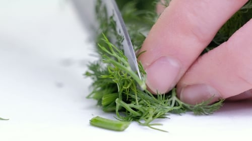 Fresh Dill on a Cutting Board, Knife and Bunches of Dill on a White Wooden Table. Fresh Greens