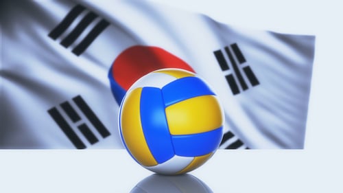Volleyball Ball with South Korea Flag